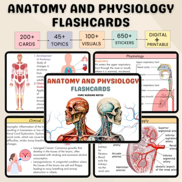 200+ Anatomy and Physiology Flashcards | Anatomy Study Guide | Nursing Notes 2025