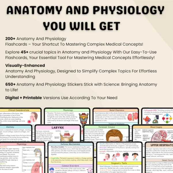 200+ Anatomy and Physiology Flashcards | Anatomy Study Guide | Nursing Notes 2025 - Image 3