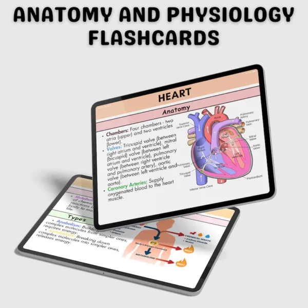 200+ Anatomy and Physiology Flashcards | Anatomy Study Guide | Nursing Notes 2025 - Image 8